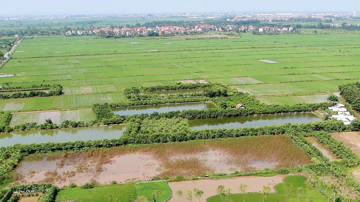 Thí điểm chuyển nhượng đất nông nghiệp làm dự án nhà ở thương mại từ 1/4/2025