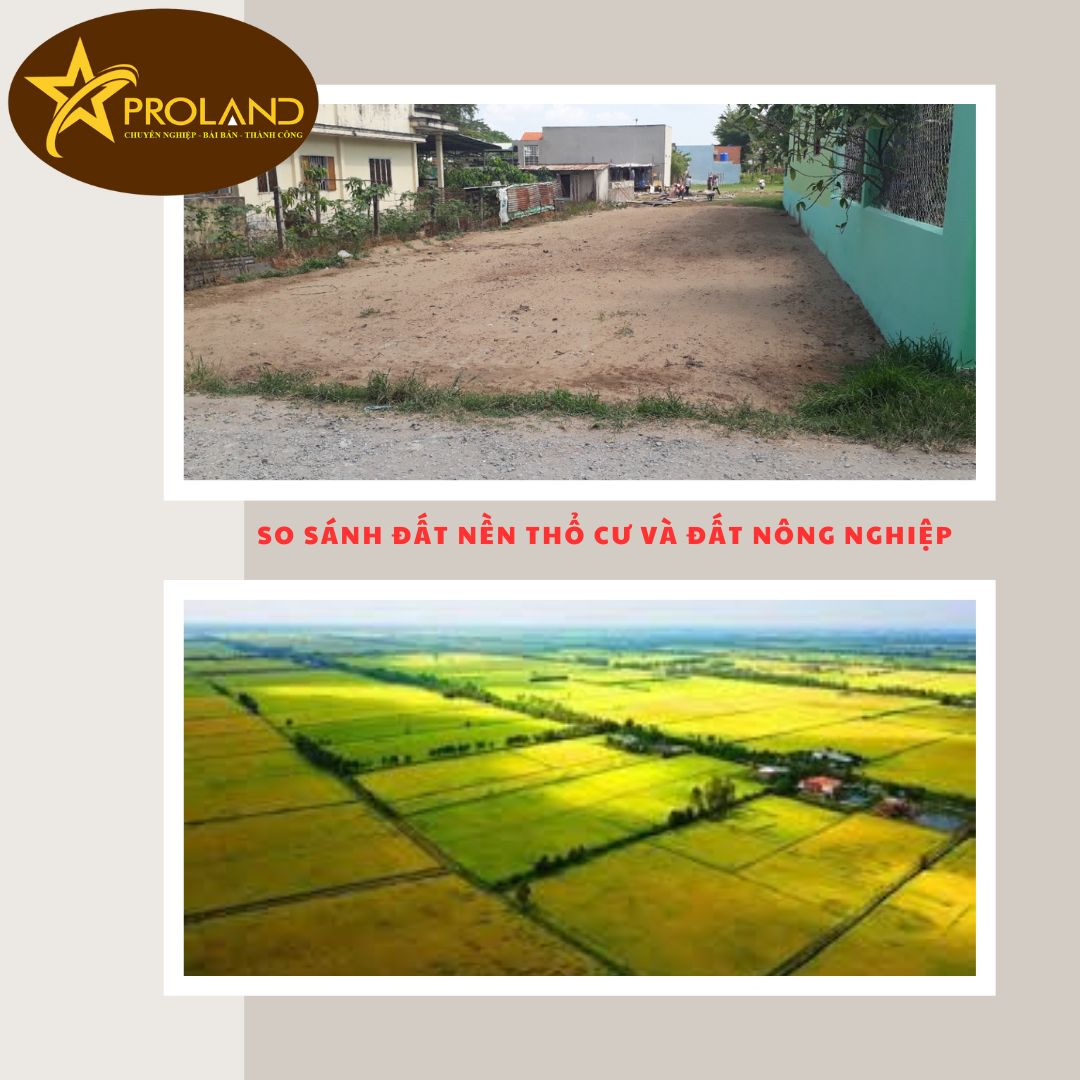 So sánh đất nền thổ cứ và đất nông nghiệp