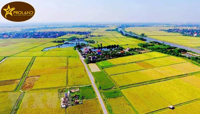 Đất nông nghiệp hết thời hạn sử dụng