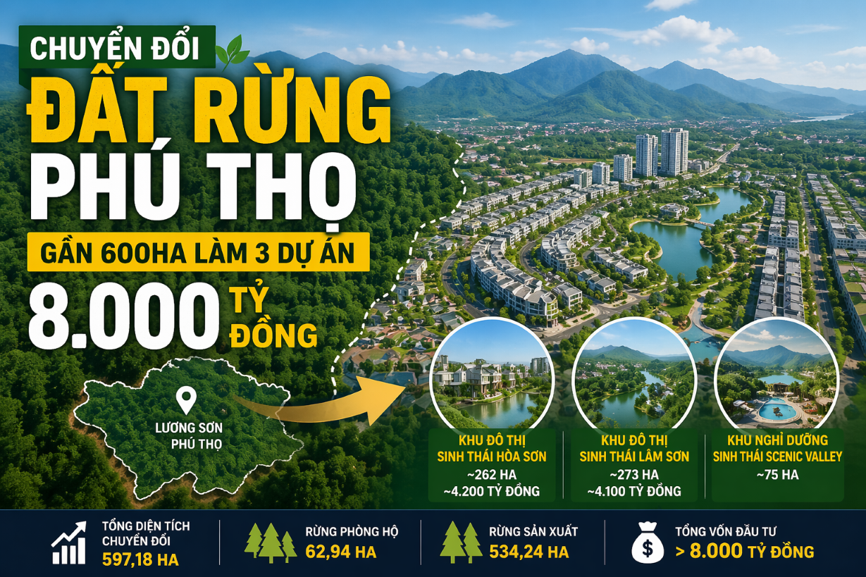 chuyển đổi đất rừng Phú Thọ làm dự án