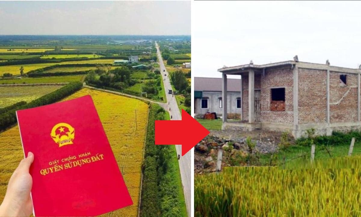 Chốt Giảm 70% Tiền Chuyển Đổi Đất Nông Nghiệp Sang Đất Thổ Cư