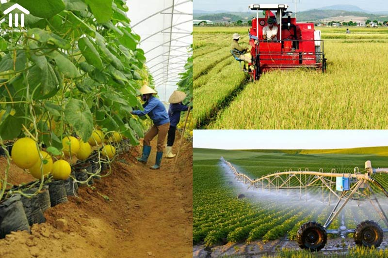 Đề xuất miễn tiền thuê đất nông nghiệp