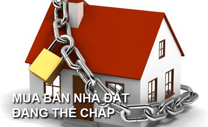 Các loại đất không được phép thế chấp ngân hàng từ 1/8/2024