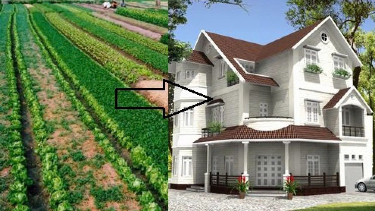 Trường hợp lên đất thổ cư không phải nộp tiền sử dụng đất từ ngày 01/7/2025