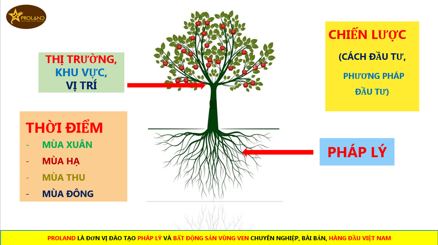 Pháp lý bất động sản và những điều cần biết
